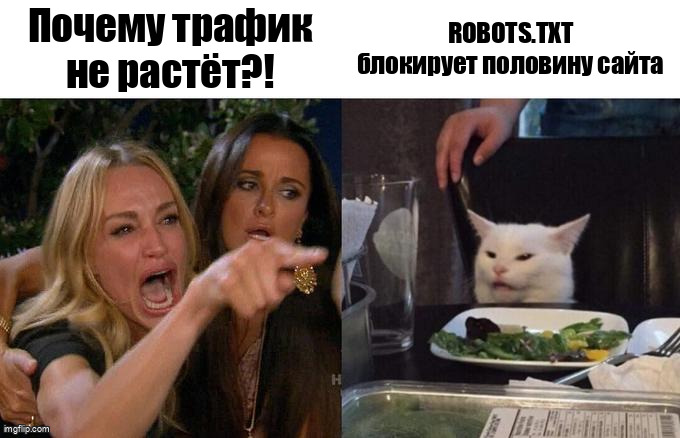Мем Woman Yelling at Cat про robots.txt блокирующий сайт